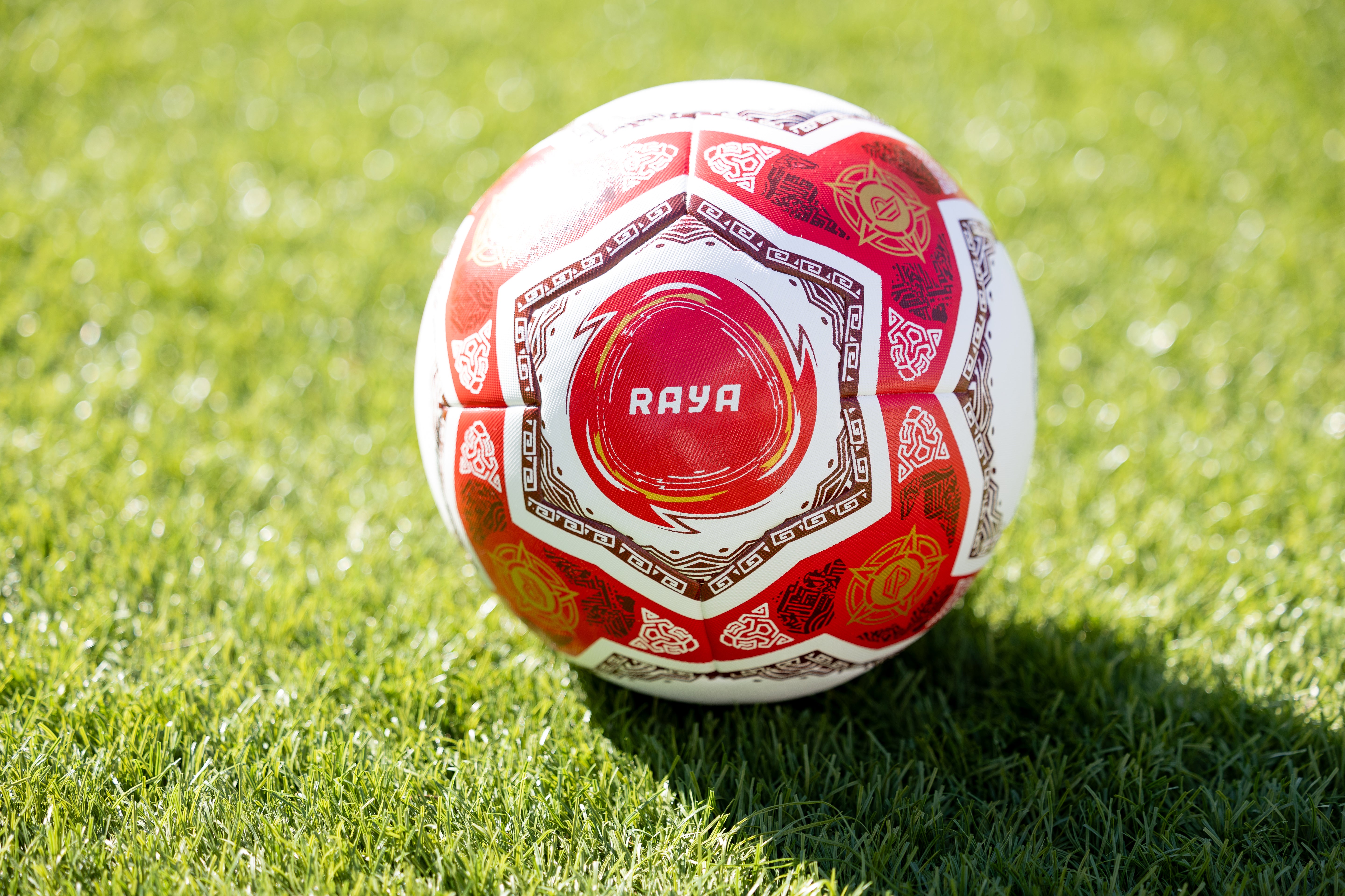 RAYA Royal Professional Match Ball