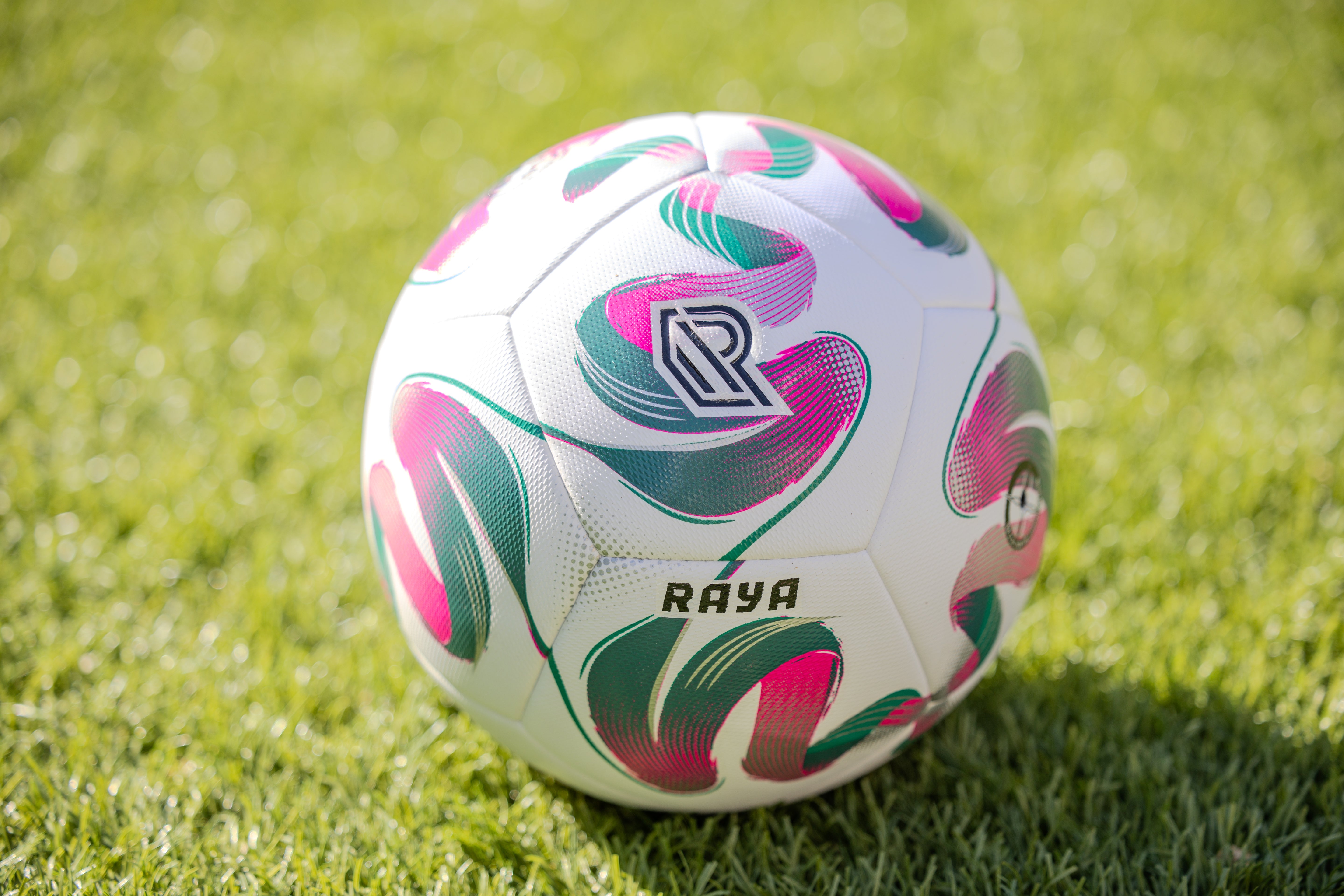 RAYA AeroSwirl Professional Match Ball