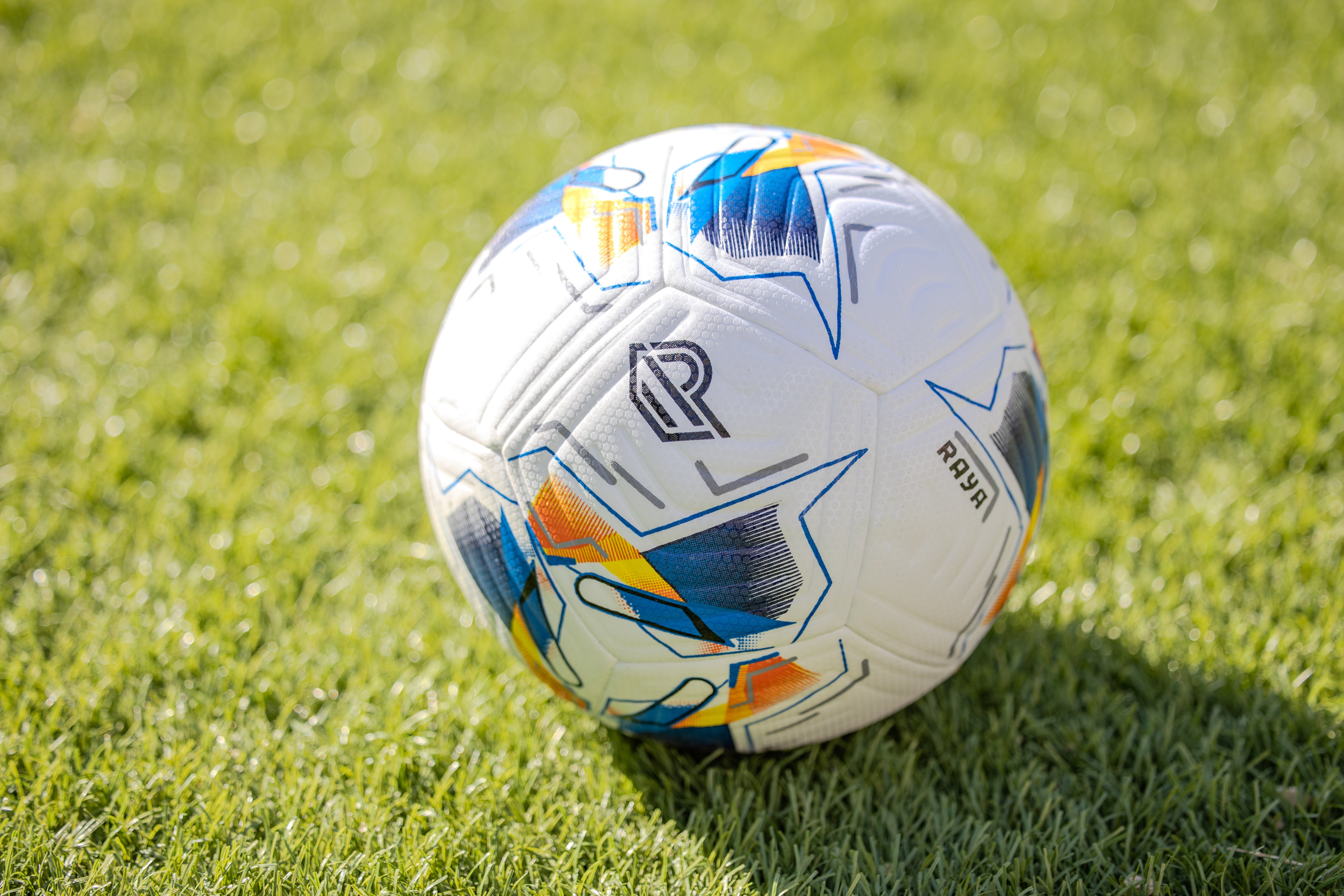 RAYA Elite Competition Ball