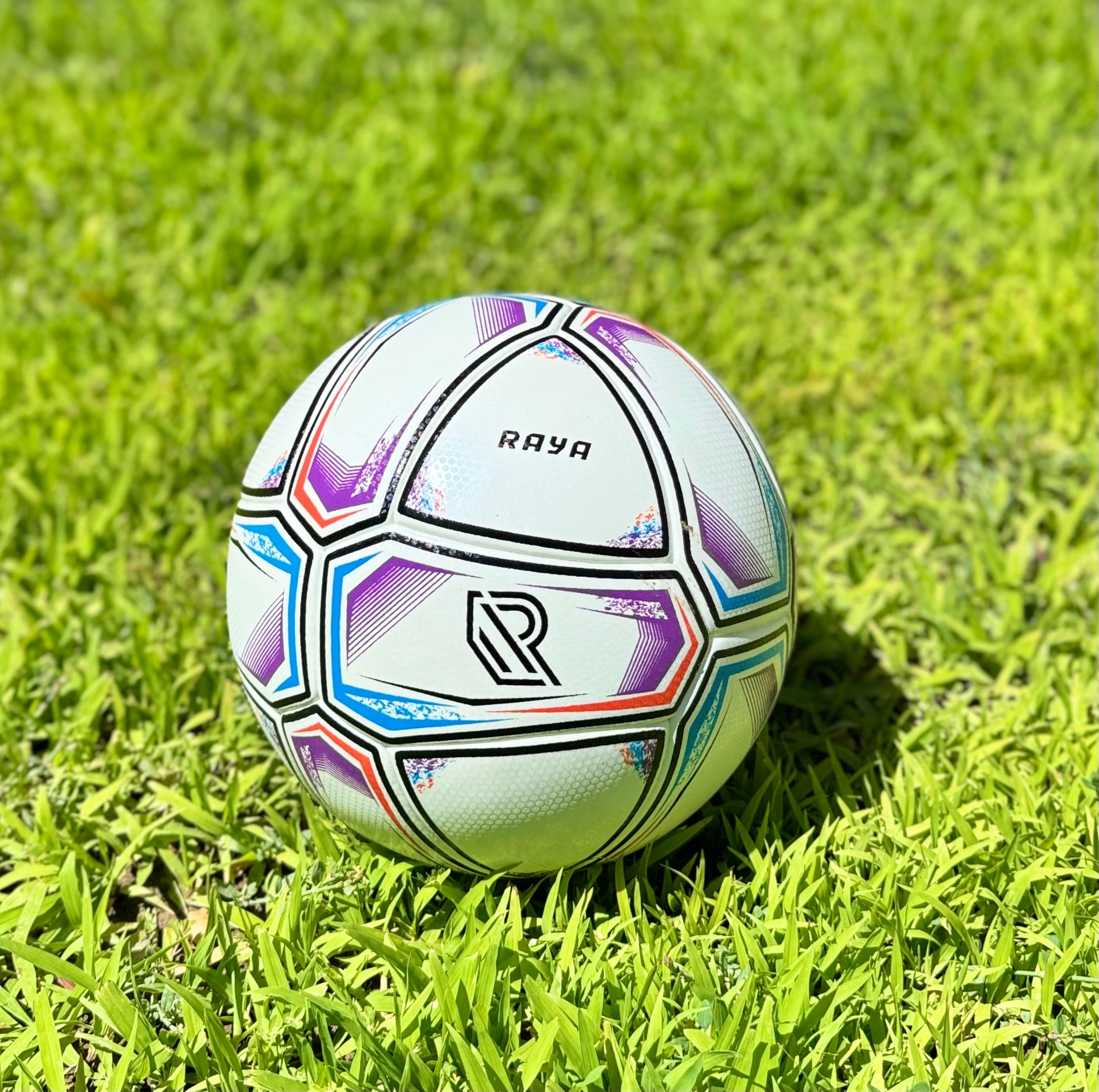 Raya Fusion Training Ball